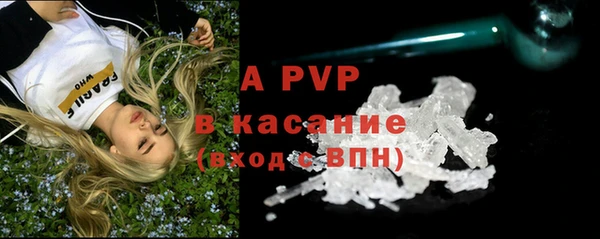 PSILOCYBIN Баксан