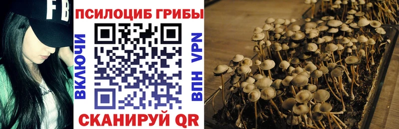 Псилоцибиновые грибы мицелий  купить наркотик  МЕГА ONION  Семёнов 